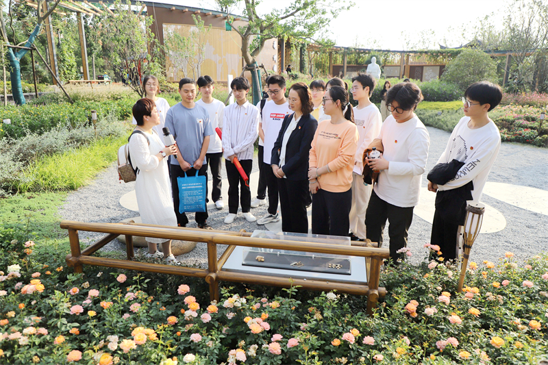 亳州園.jpg
