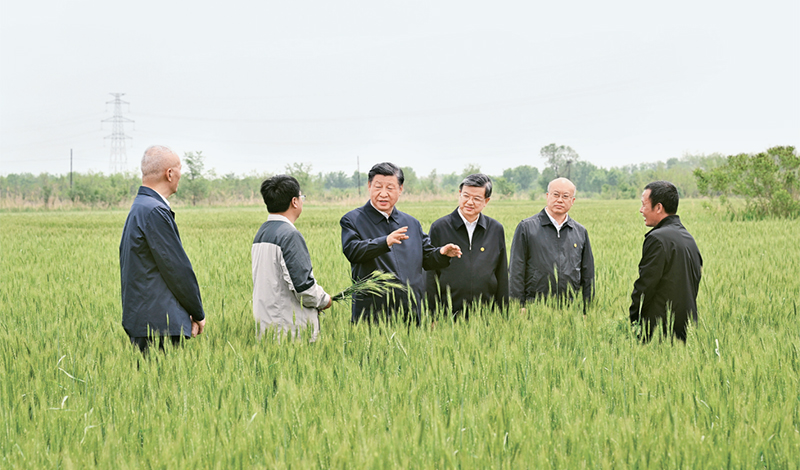 2023年5月11日至12日，中共中央總書記、國家主席、中央軍委主席習(xí)近平在河北考察，并主持召開深入推進(jìn)京津冀協(xié)同發(fā)展座談會(huì)。這是11日上午，習(xí)近平在滄州市黃驊市舊城鎮(zhèn)仙莊片區(qū)旱堿地麥田考察時(shí)，同種植戶、農(nóng)技專家親切交流。 新華社記者 李學(xué)仁/攝