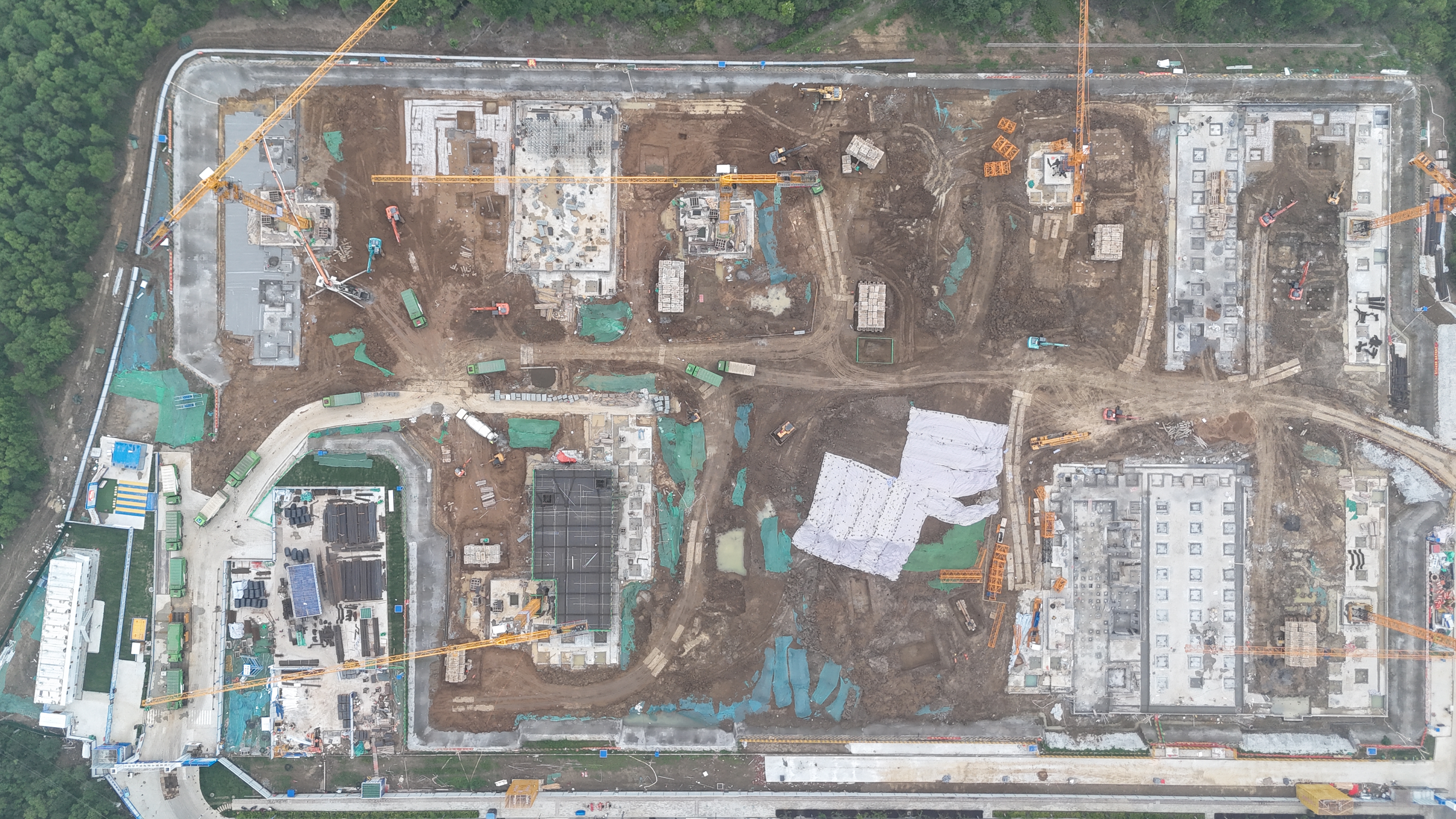 e836eeb9e83203beaaf02006a667e1e2.jpeg e836eeb9e83203beaaf02006a667e1e2.jpeg